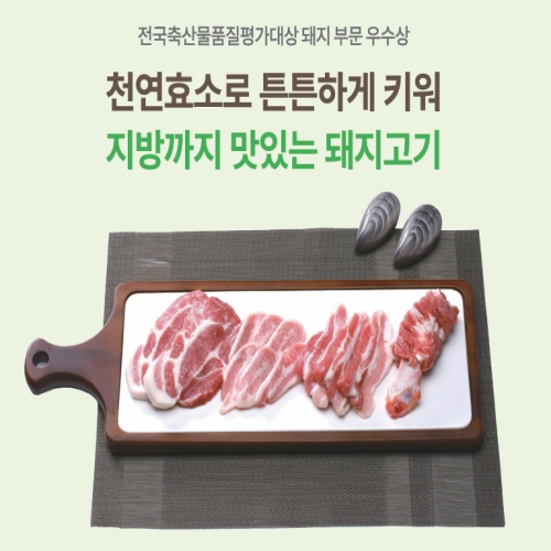 프리미엄 전지 1kg